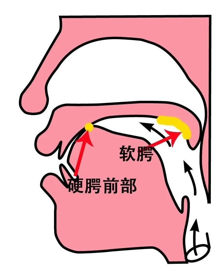鼻音重 baijiahao.baidu.com