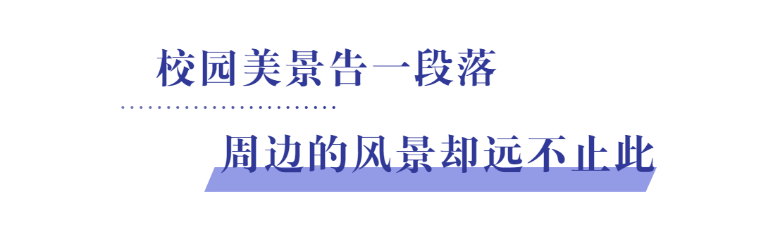 遇见顾家营路59号,与科中紫金不负相逢!