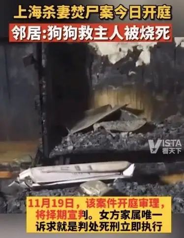 上海杀妻焚尸案:爱犬为救主冲入着火房间,关键时刻人还靠谱吗?