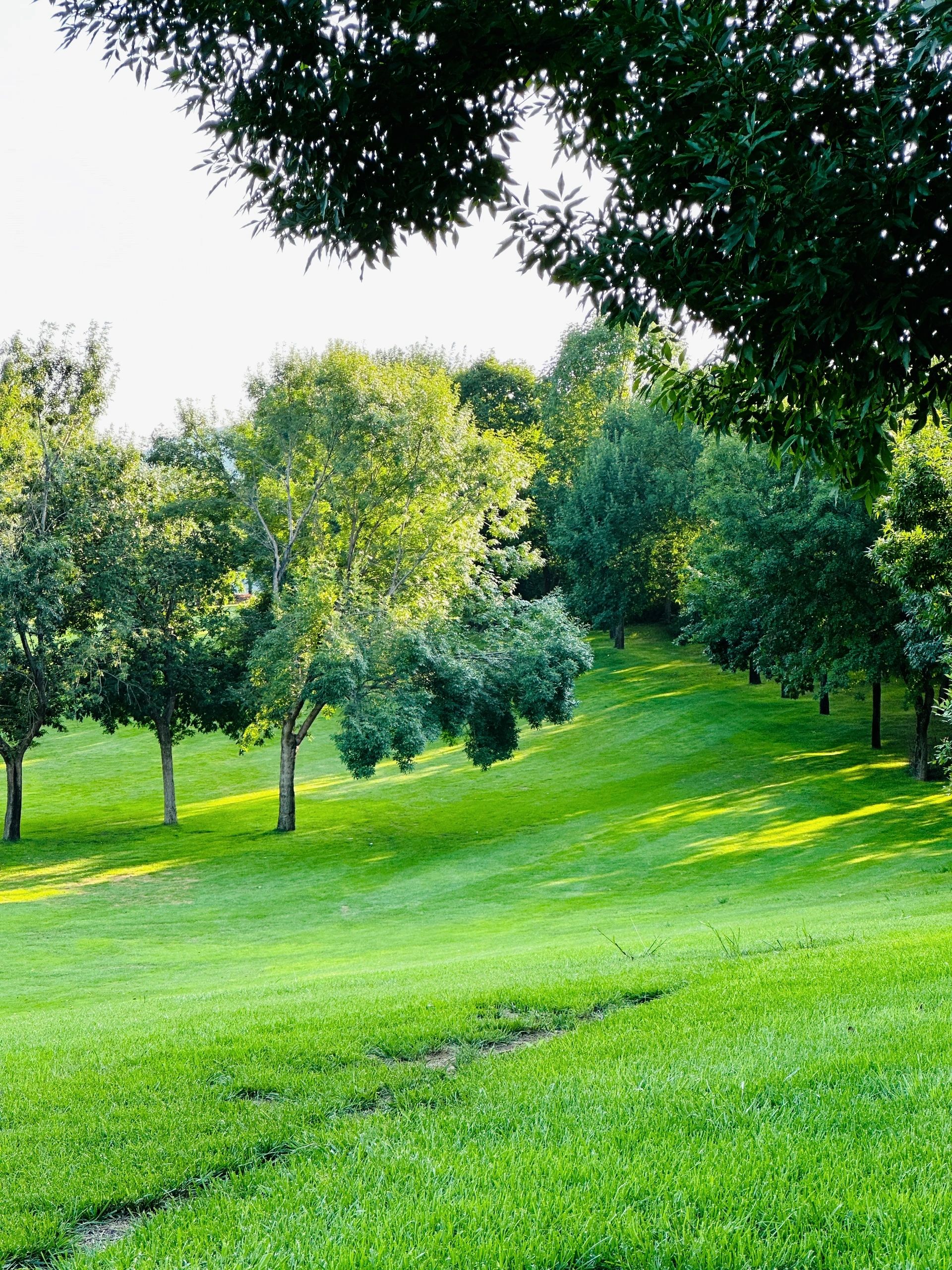 隐秘的绿野仙踪 "与炽热的告别