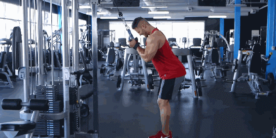 (2)哑铃单手臂屈伸