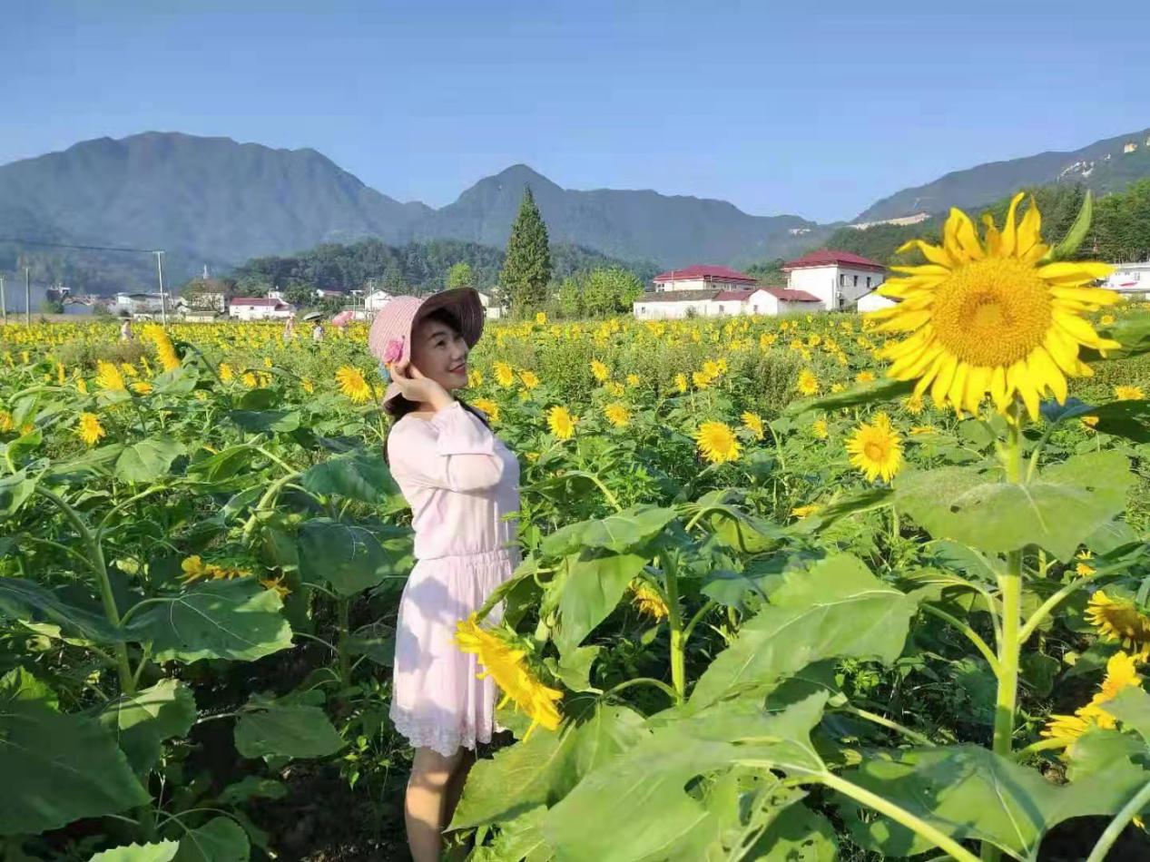 龙川四都花海图片