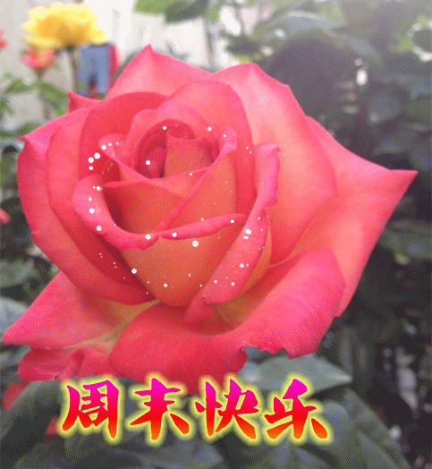 星期天早上好问候祝福动态表情图片 周日最新早安问候语动态图片