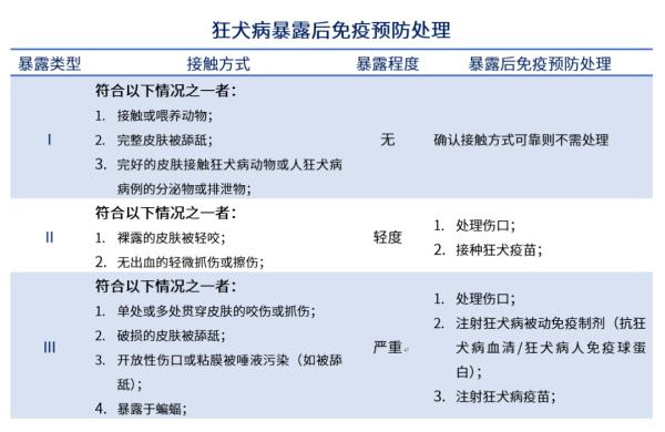 狂犬病的潜伏期是多久图片