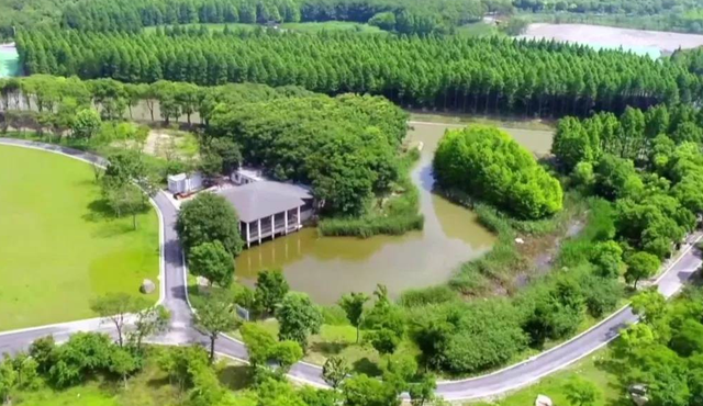 回顾:杭州美女老总张琰,公婆是院士又不缺钱,为何沦为局长情妇