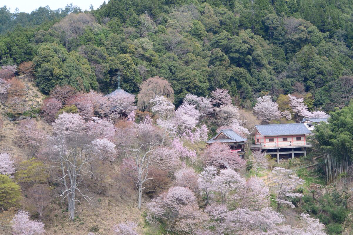 日本诗歌集:日本游览诗中的山水书写有哪些?