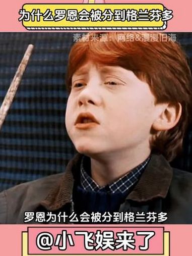 韦斯莱一家全员格兰芬多!罗恩 韦斯莱 哈利波特 哈迷聚众地