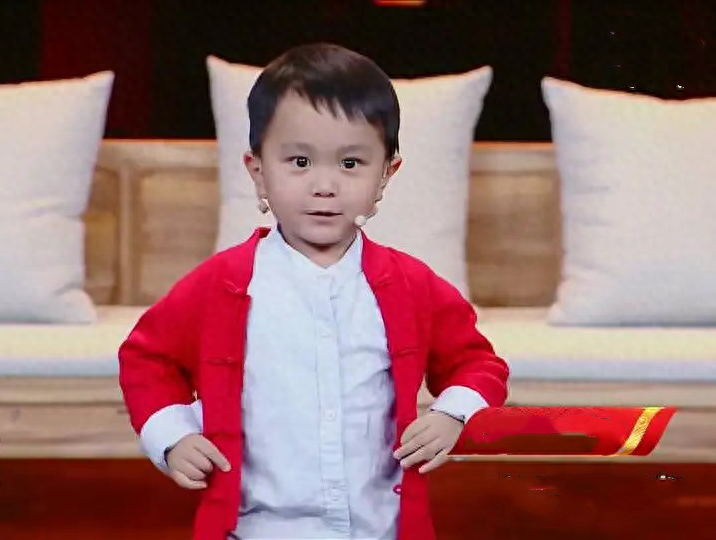 回顾神童王恒屹:3岁认识3000字,6岁夺央视冠军,网友