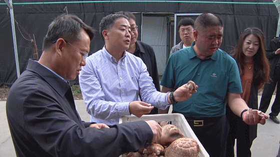 任磊在交口县调研高新技术企业发展和疫苗接种工作