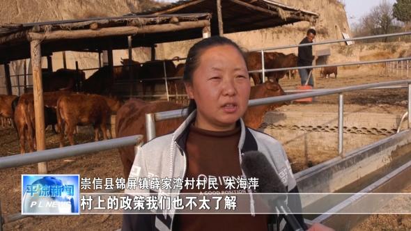 奋斗百年路 启航新征程·脱贫攻坚我来见证 朱海萍:养牛搭上脱贫