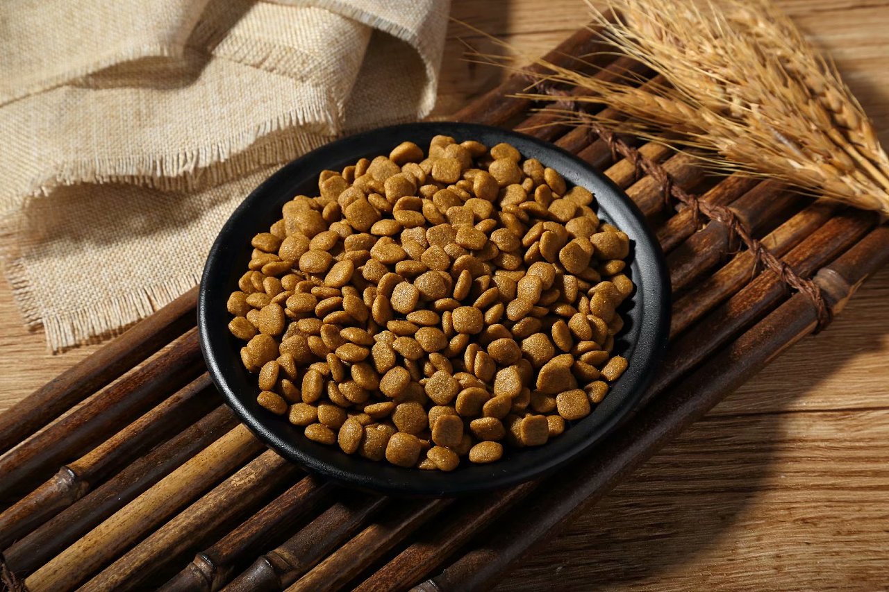 新手养狗干货!1分钟教你挑选优质狗粮!