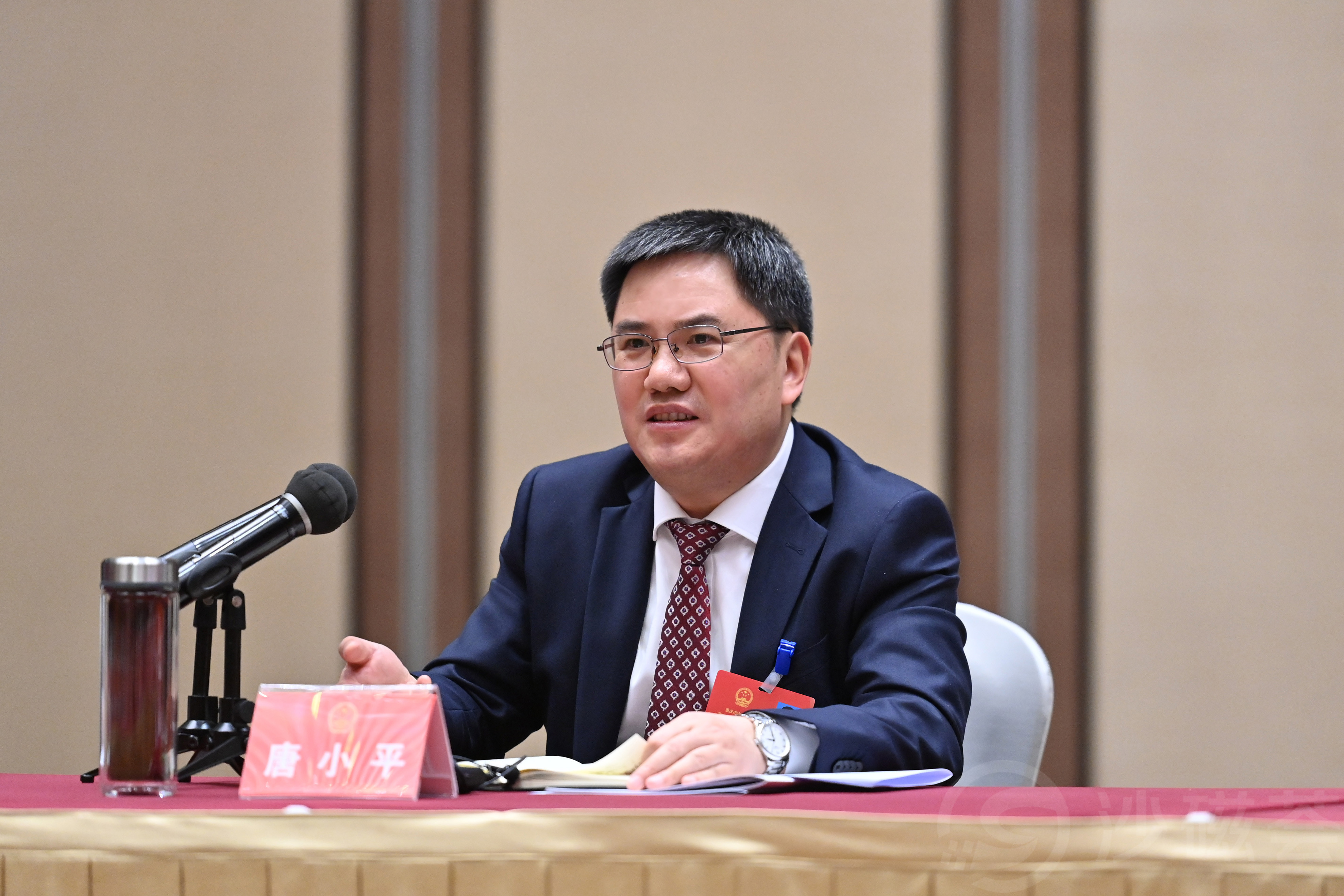 唐小平参加人大分团审议,政协分组讨论时强调