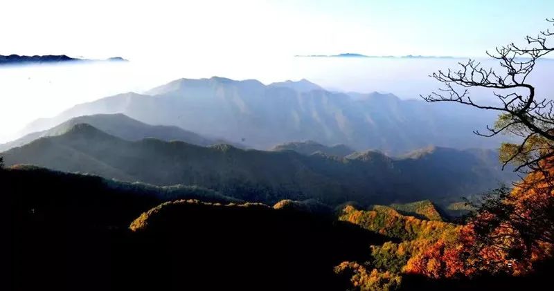 洛南通:春游文显山