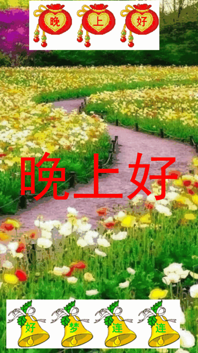 6张最美睡前晚安问候祝福图片带字精选 群发晚上好问候动画表情包