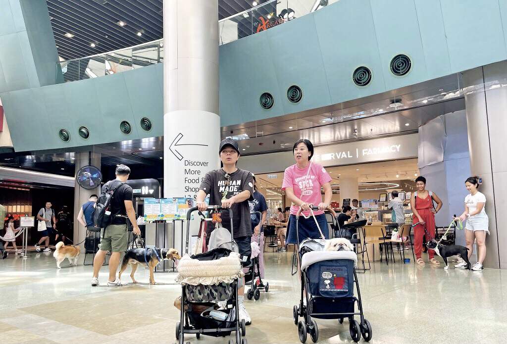 知名港星傅明宪近况曝光!身材明显发福,嫁百亿富豪离婚收场