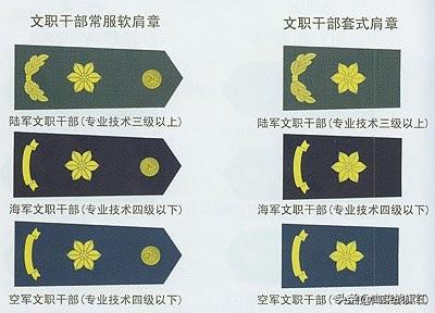 中国的军衔等级及标志军衔军职对应表