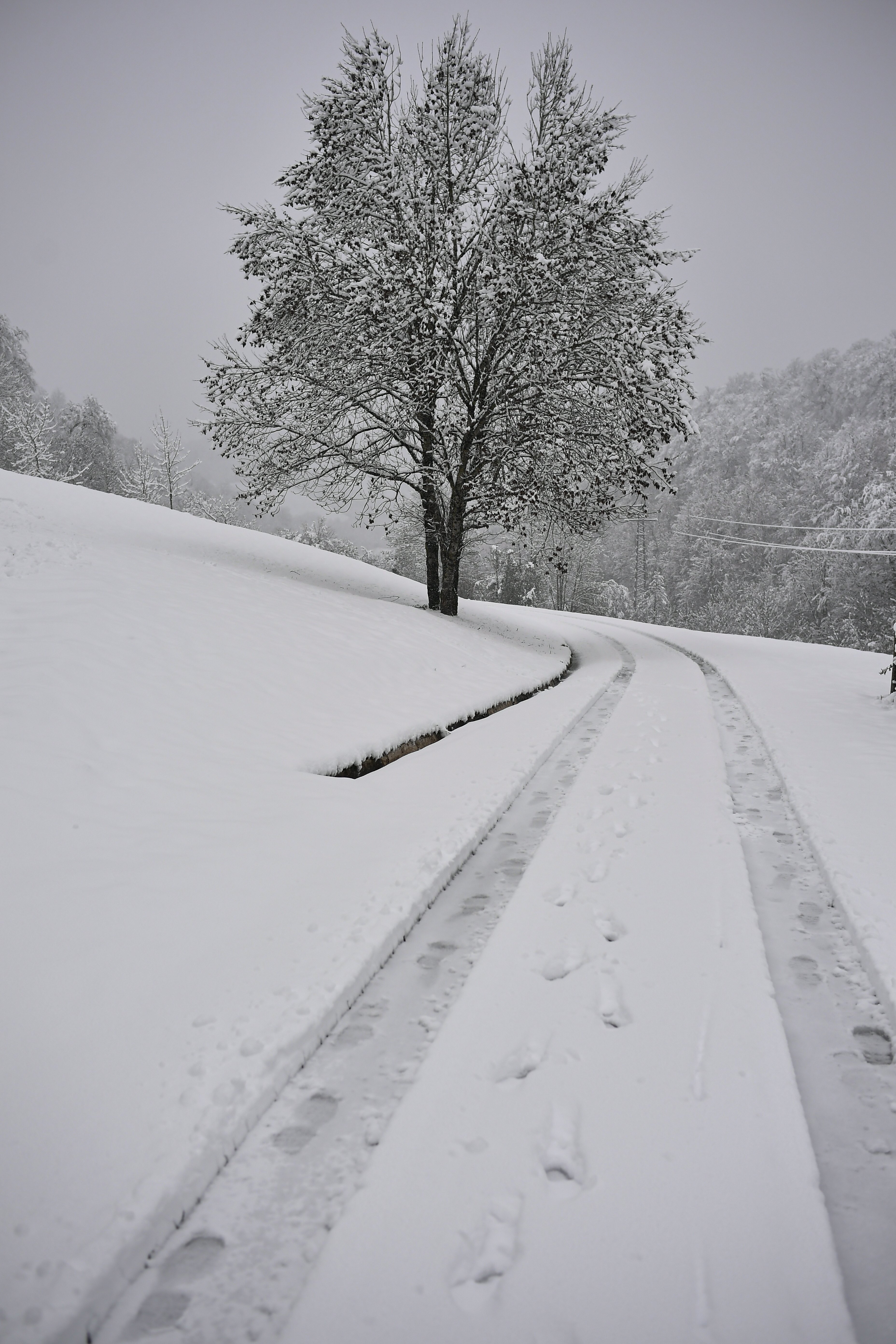 白茫茫的雪景图片