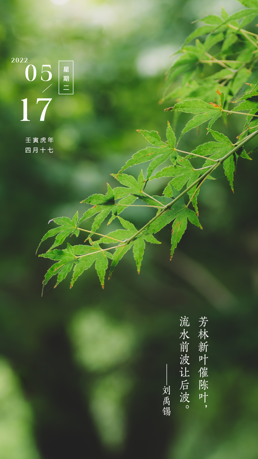 微信抖音早上好说说正能量图片,需要得到就别等待,趁年轻去热爱