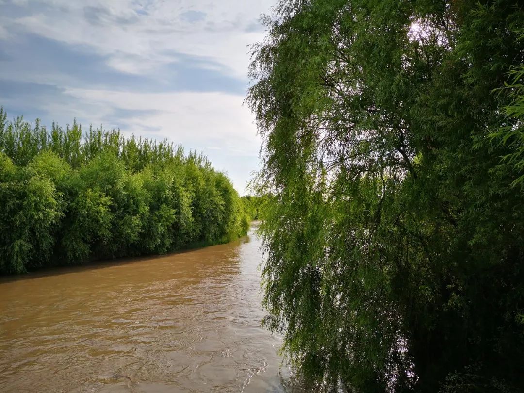 伊犁河湿地公园的芳草湖