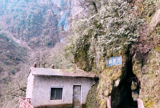峨眉山"怪洞"中,人进不见人出,传闻内藏三道"玄关"