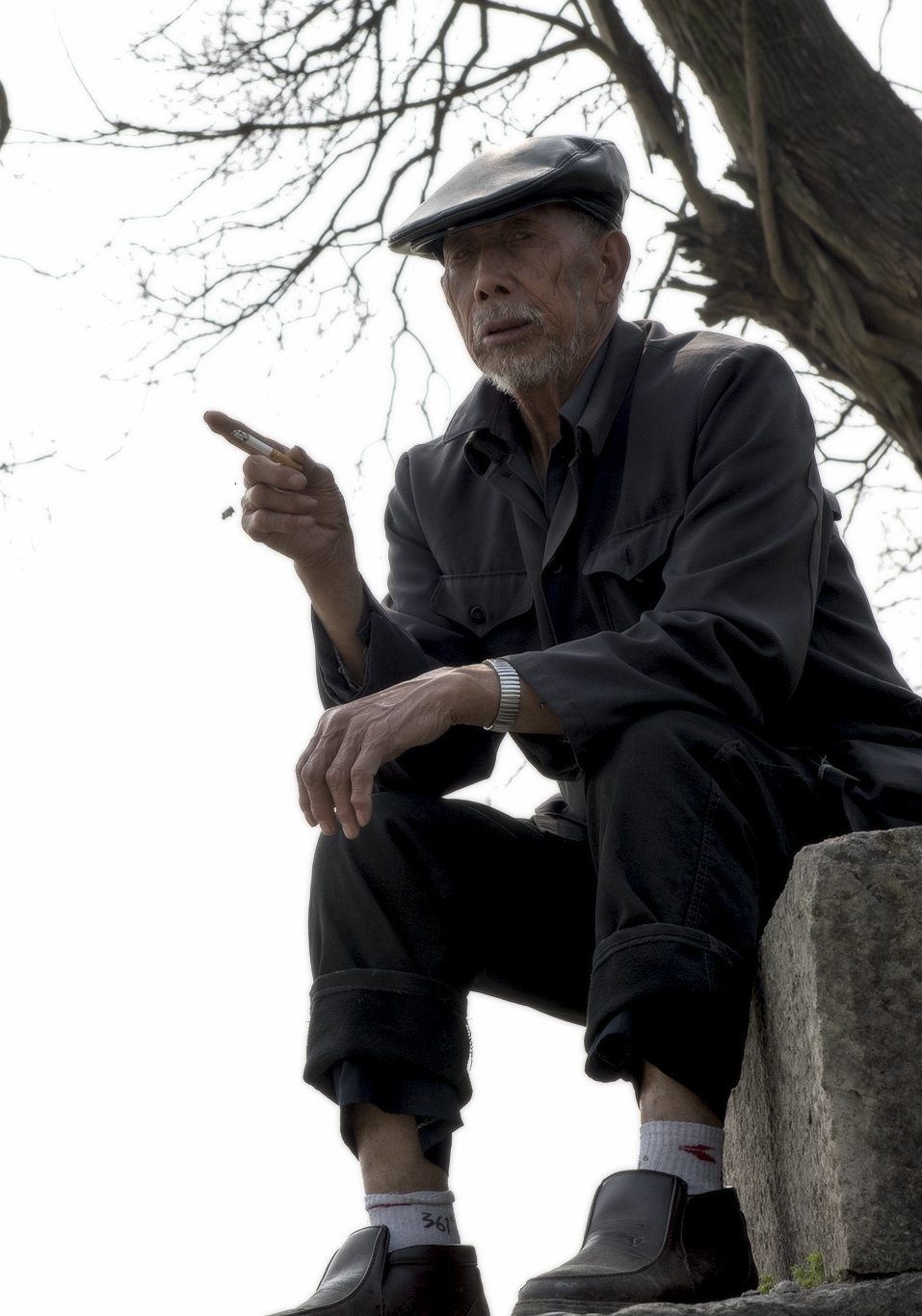 时间如同流水一样,一天比一天减少,当你老了,只剩一个人怎么过