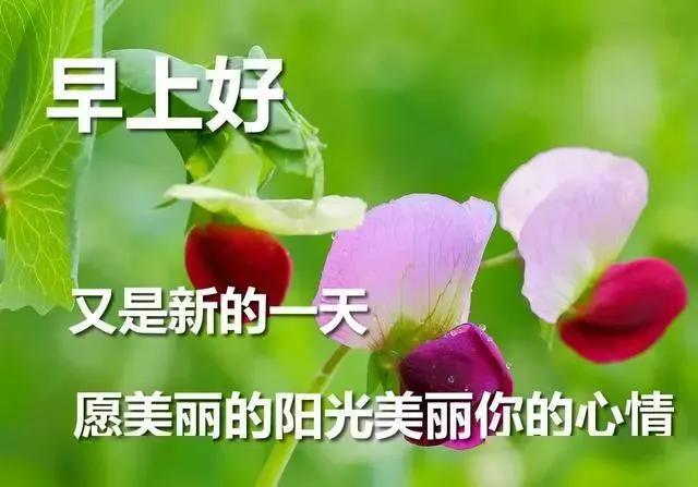 早安正能量满满励志语句 一句话早安朋友圈说说
