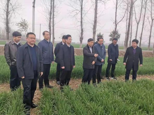 曾垂瑞到宛城区调研农业农村工作时指出 发展农业产业 推进乡村振兴