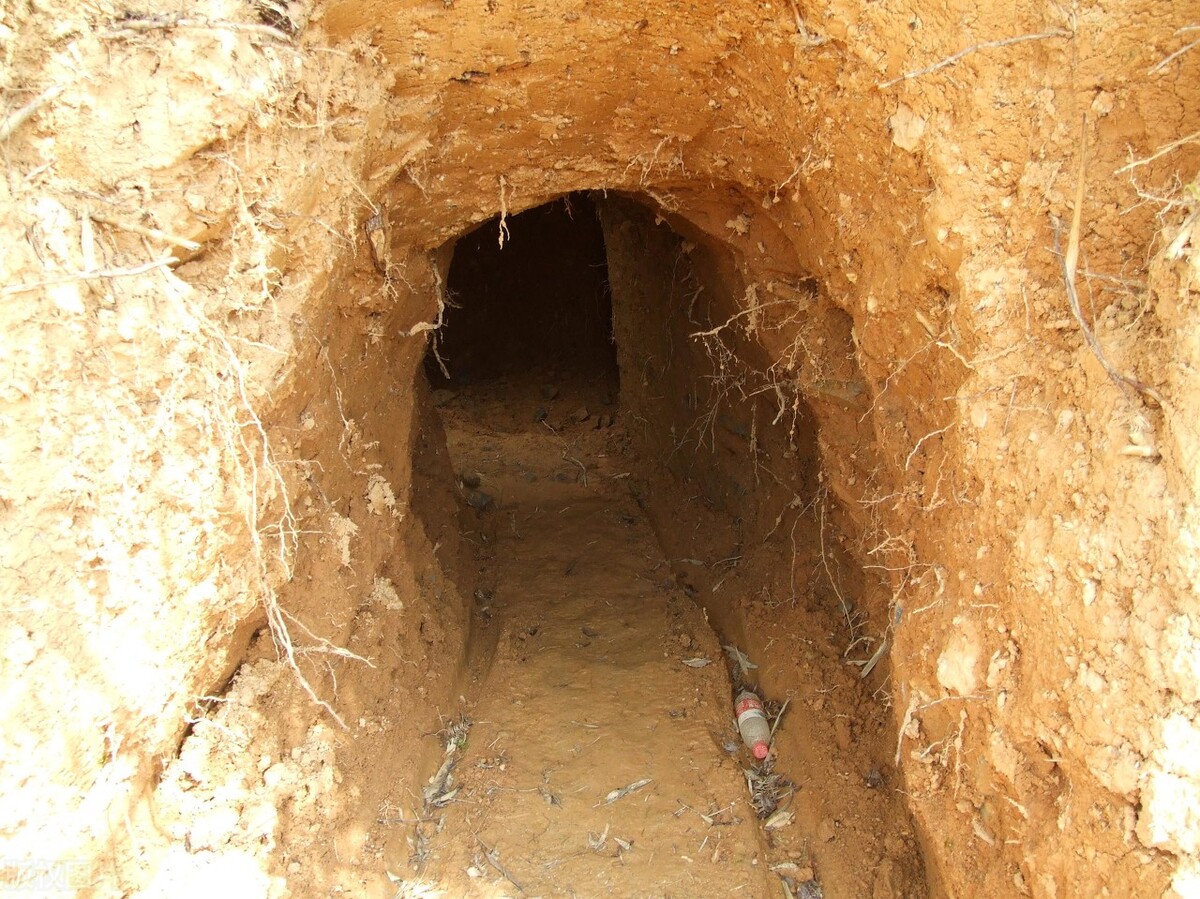 放羊娃发现古墓,盗墓贼闻风而来,引发悲剧