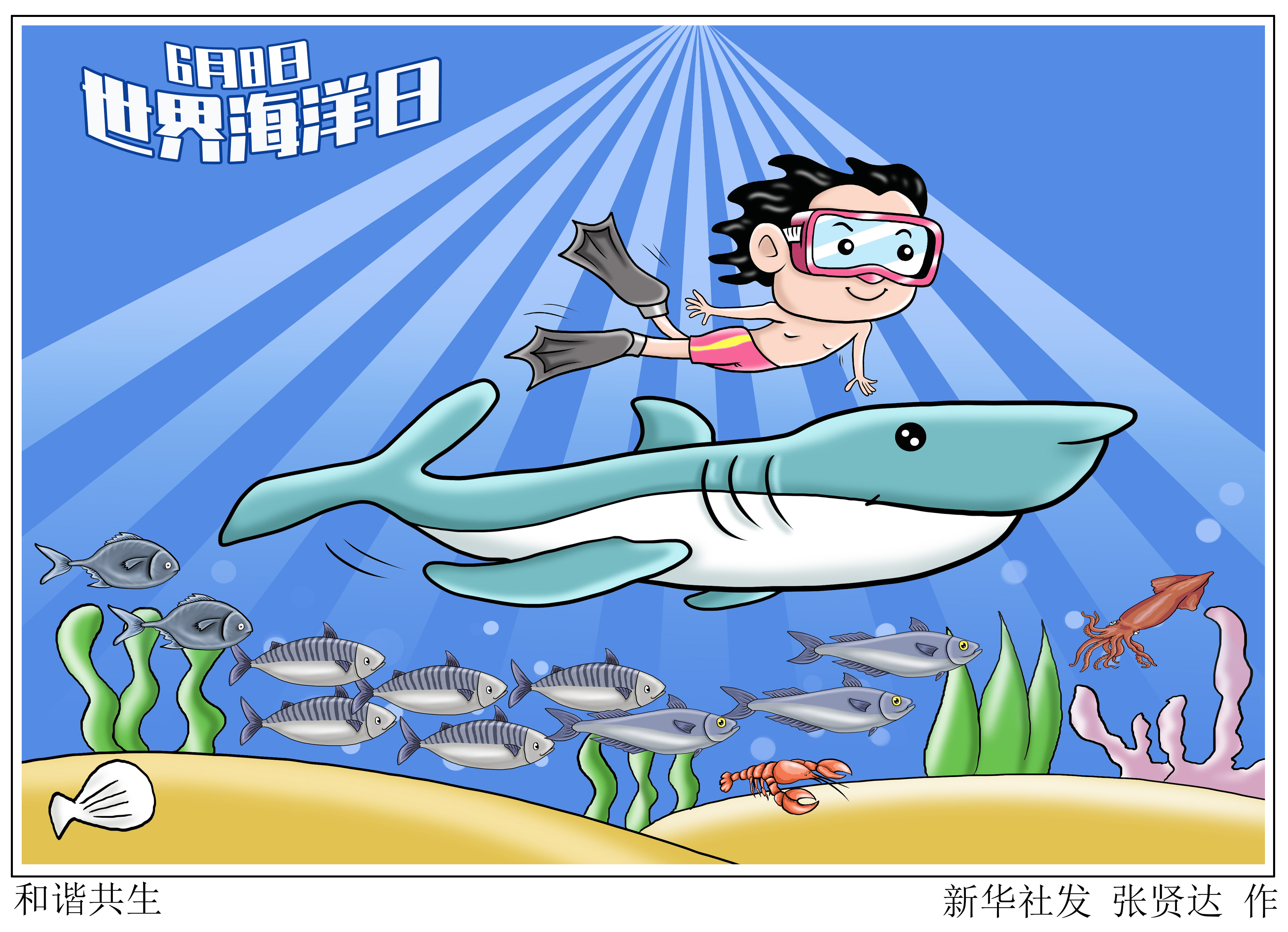 「世界海洋日」和谐共生(4)