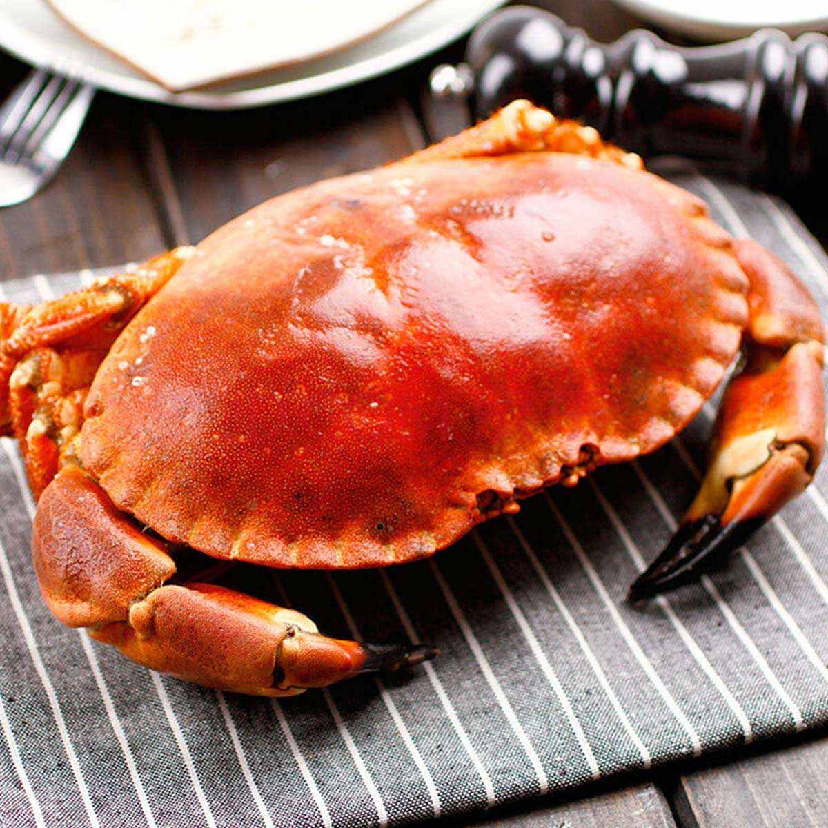 动物界的老王:馒头蟹,为什么会抱走别人的老婆?