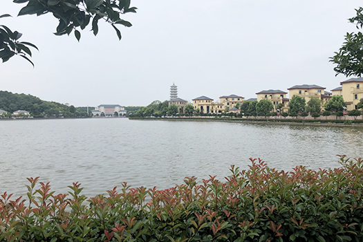 湖北省武汉市的官桥村,人数不多资产超过30亿,堪比"华西村"