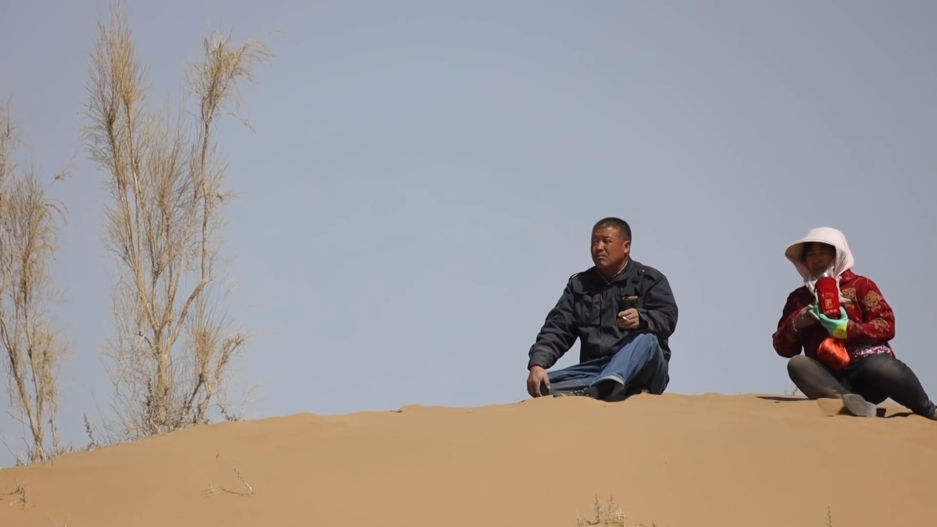 在沙漠种树有多难?3代人花了50年,让整个沙漠变成绿洲!