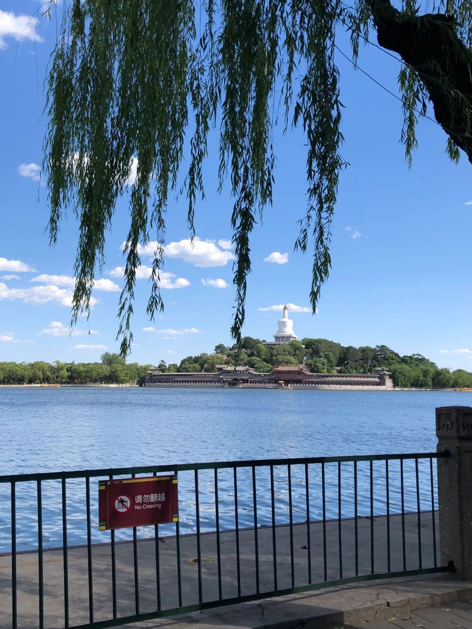 晴天一定要去北海公园逛逛啊 15 我的市区公园第一名 夏天燥热的