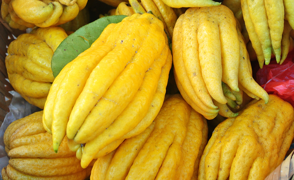 农村产量很高的瓜,人称"千金瓜",吃的人却很少