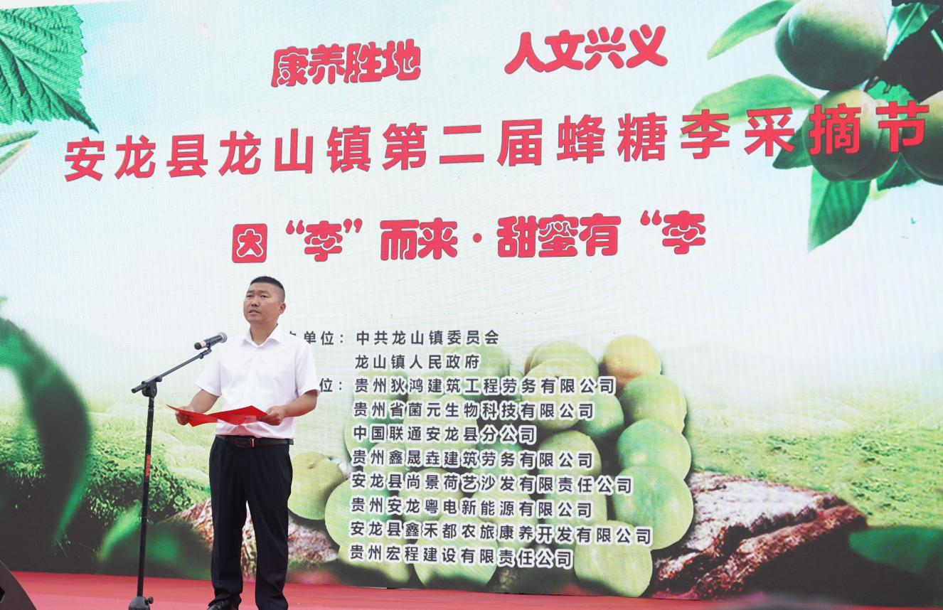 安龙县龙山镇第二届蜂糖李采摘节举行