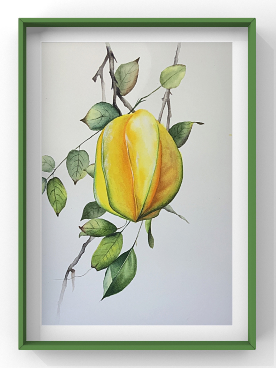 水彩画水果杨桃(含步骤无滤镜) 水彩颜料:荷尔拜因 纸:获多福细纹 笔