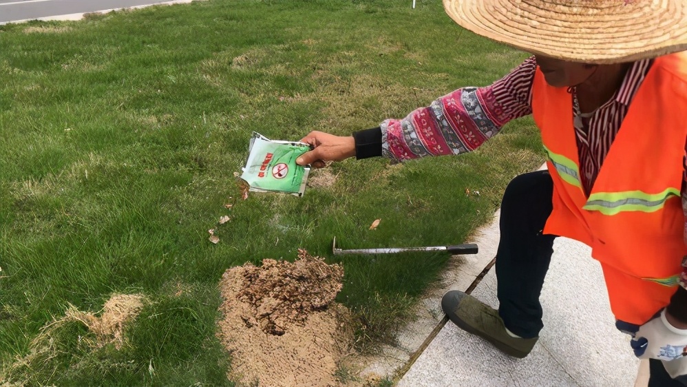 红火蚁5年翻番,防治赶不上繁殖速度,9部门联合防控有效果吗?