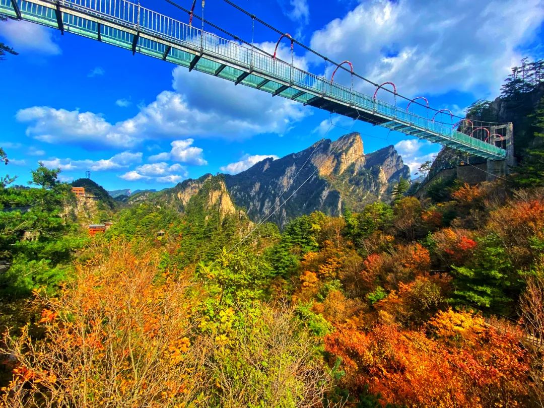 老界岭风景区景点图片