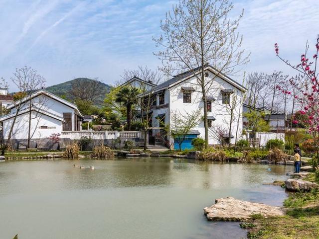 南京又一乡村走红,门票免费不输婺源,却以"竹海"闻名于世