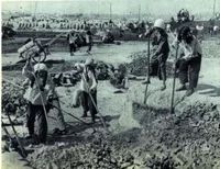 1958年的平坟运动