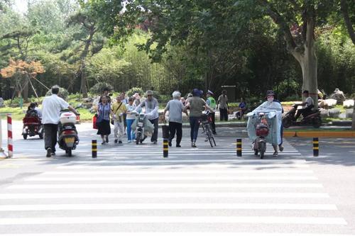 電動車過斑馬線要下車推著走?車主:這麼多規矩,走路上班吧!