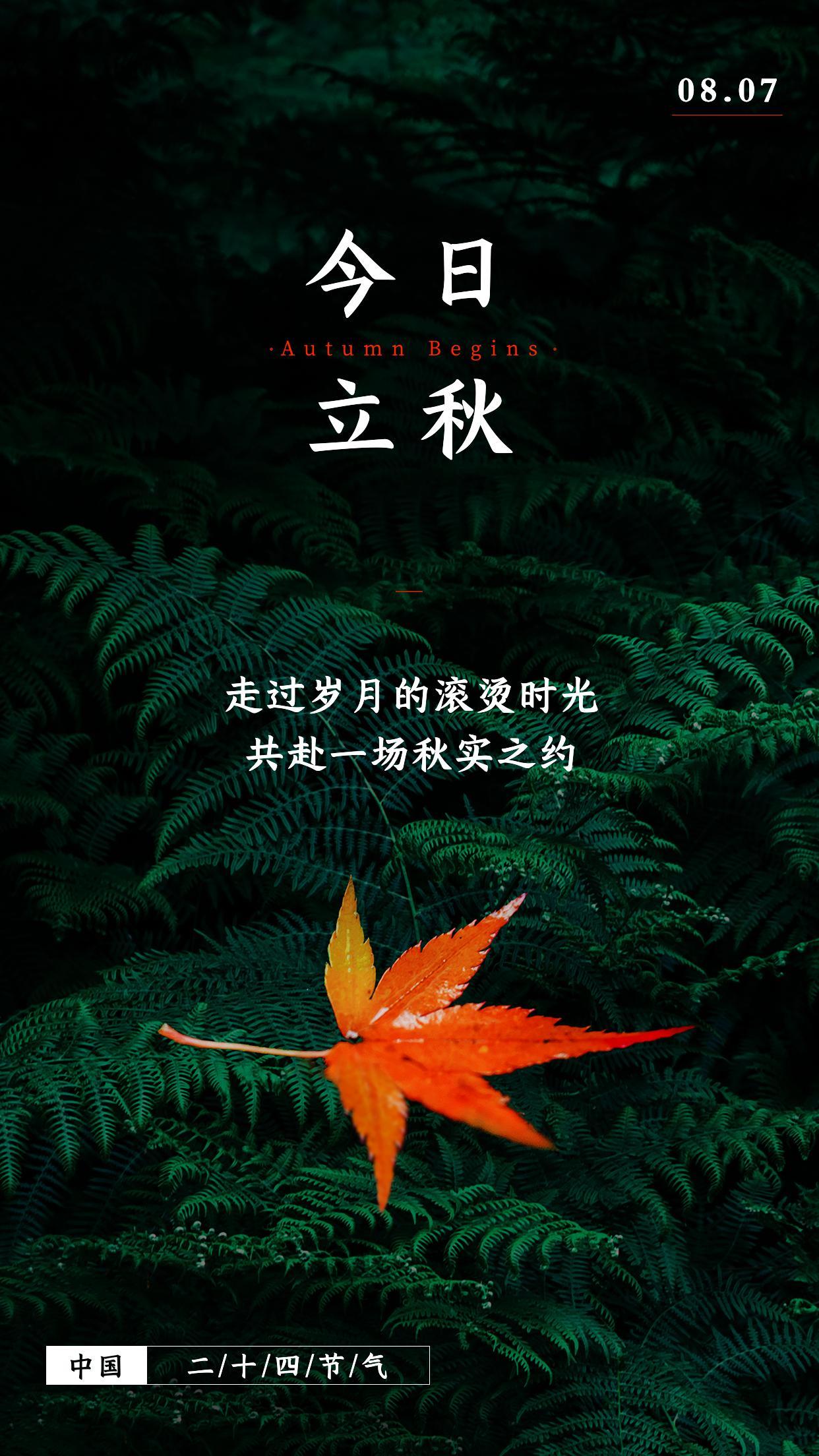 立秋|立秋朋友圈文案,10张高质量配图