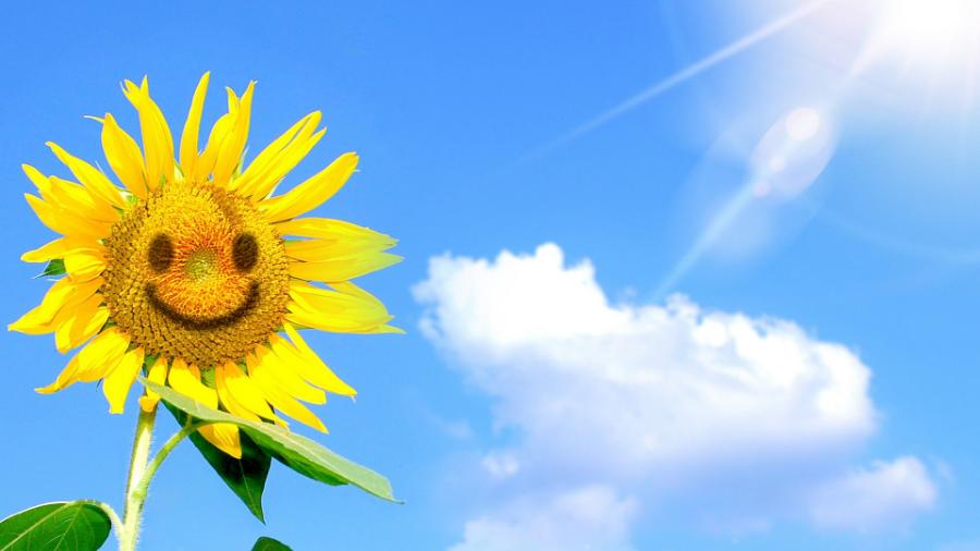 心中有阳光,眼里有风景