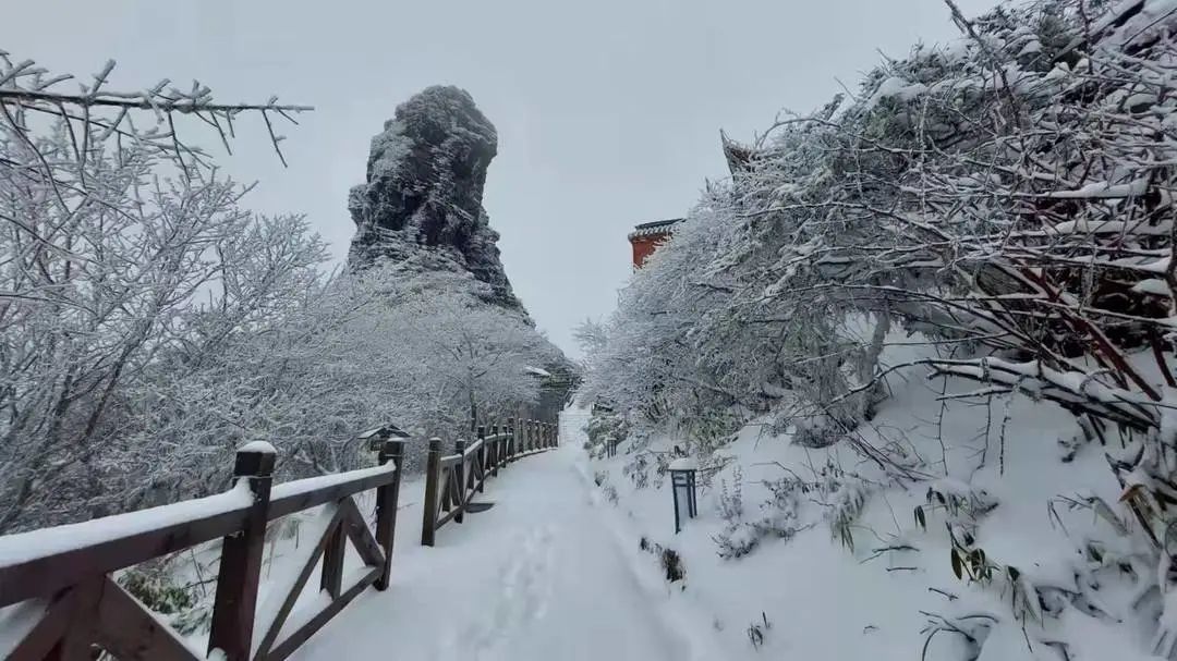 梵淨山冬季旅遊攻略丨為什麼那麼多人冬天來這裡看完這篇有答案了