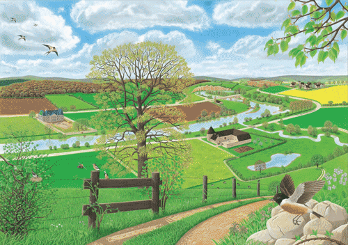 大自然孩子的第一本教科书