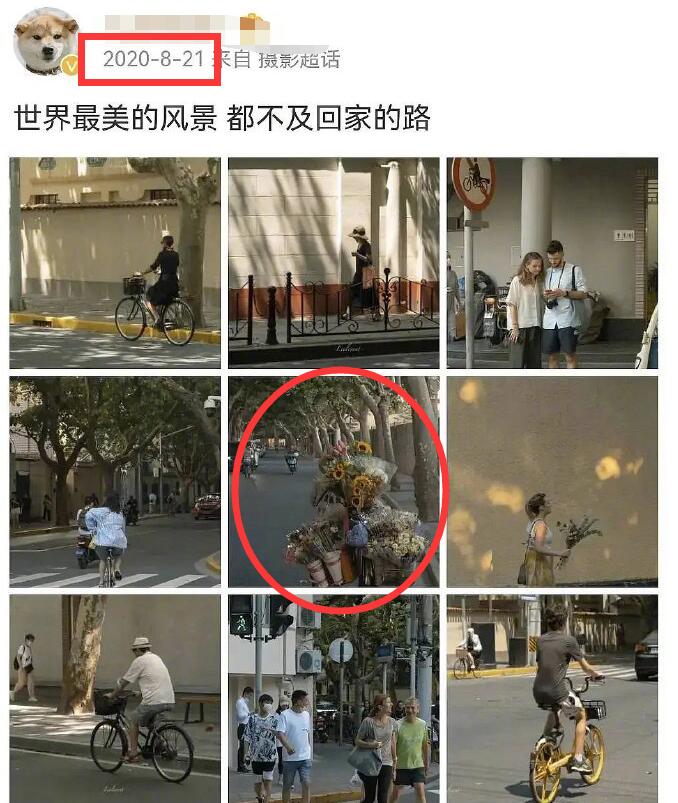 张子枫盗图是什么梗 张子枫盗图事件是怎么回事