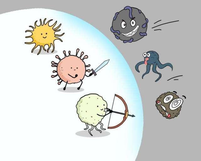 提升自身免疫力,你吃对了吗?