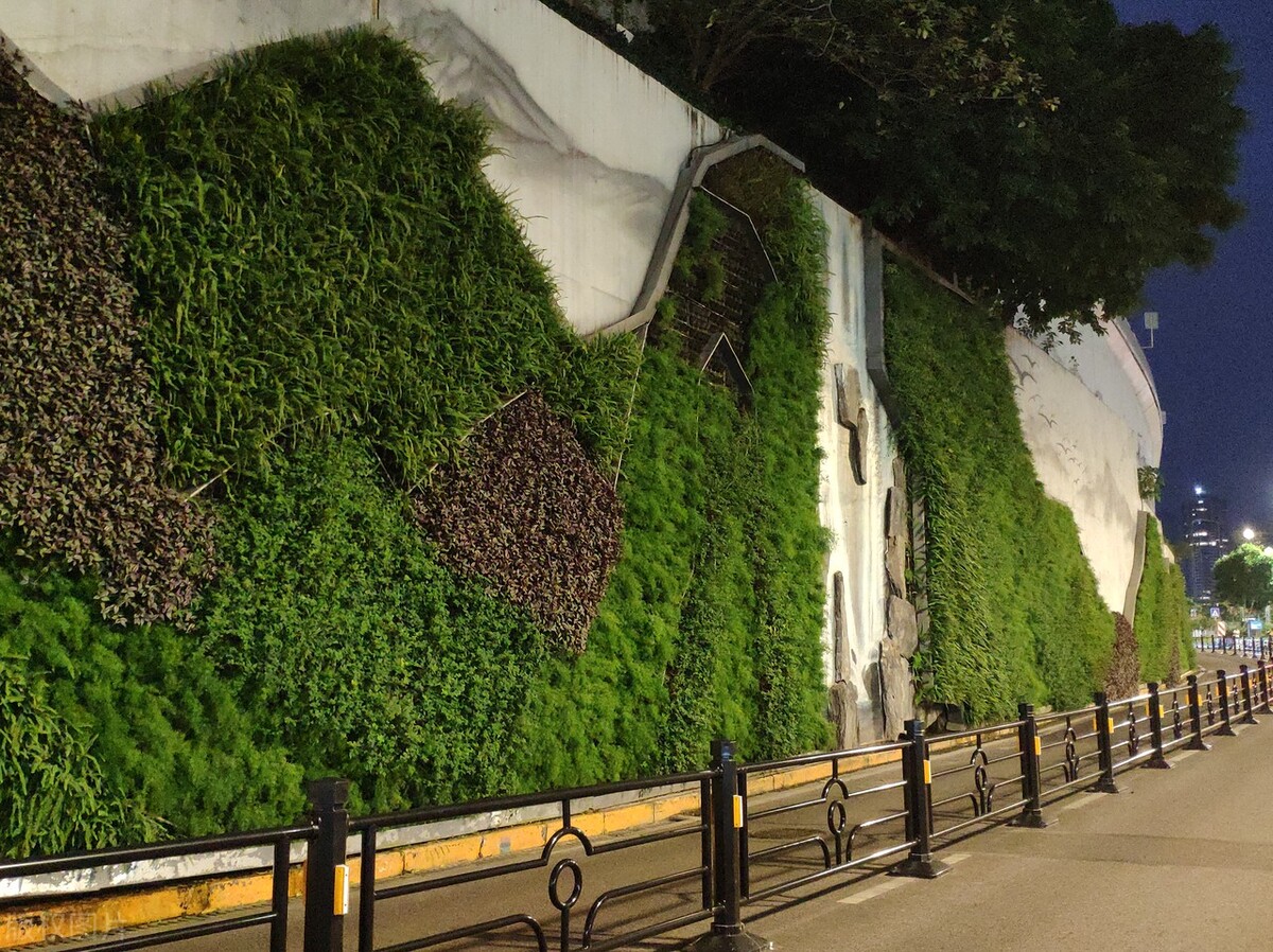 重庆江北区堡坎挡墙焕发新生:千里嘉陵图景与智能绿化的完美结合