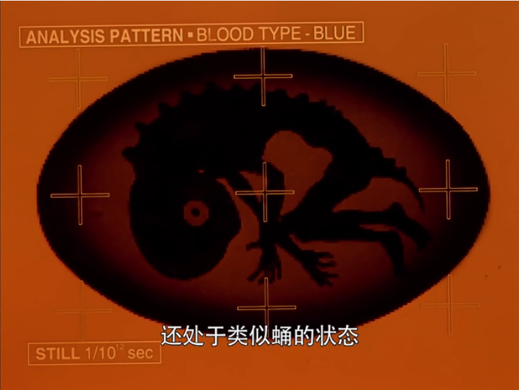 新世纪福音战士第八使徒胎天使高温高压下的熔岩潜行者