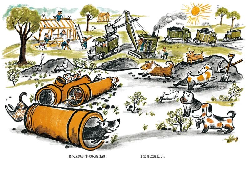 绘本阅读:《好脏的哈利》教会孩子养成讲卫生的好习惯
